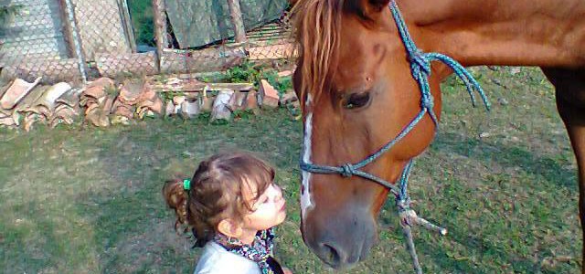 Bambini a cavallo, l’emozione di una gita fuori porta